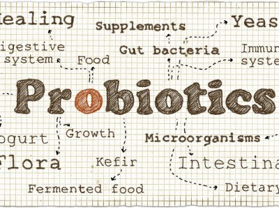 Intestino e probiotici