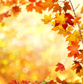 Al momento stai visualizzando L’autunno in cucina, per ogni tipo metabolico!