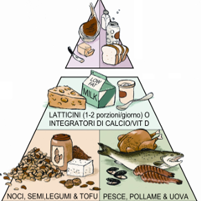 Al momento stai visualizzando La piramide alimentare rivista