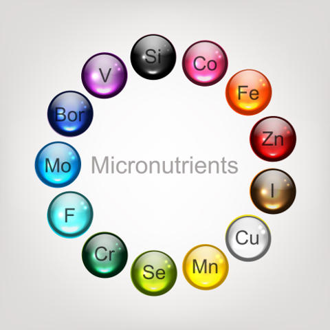 Micronutrienti