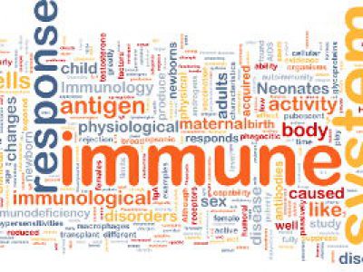 Malattie autoimmuni, il corpo combatte se stesso